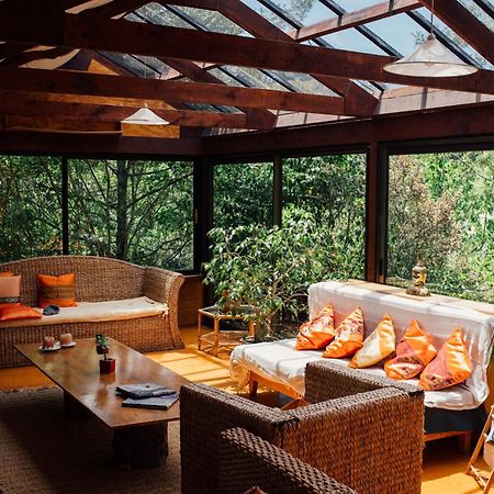 Kawai Purapura Yoga Retreat Centre Hotel Auckland Exterior photo