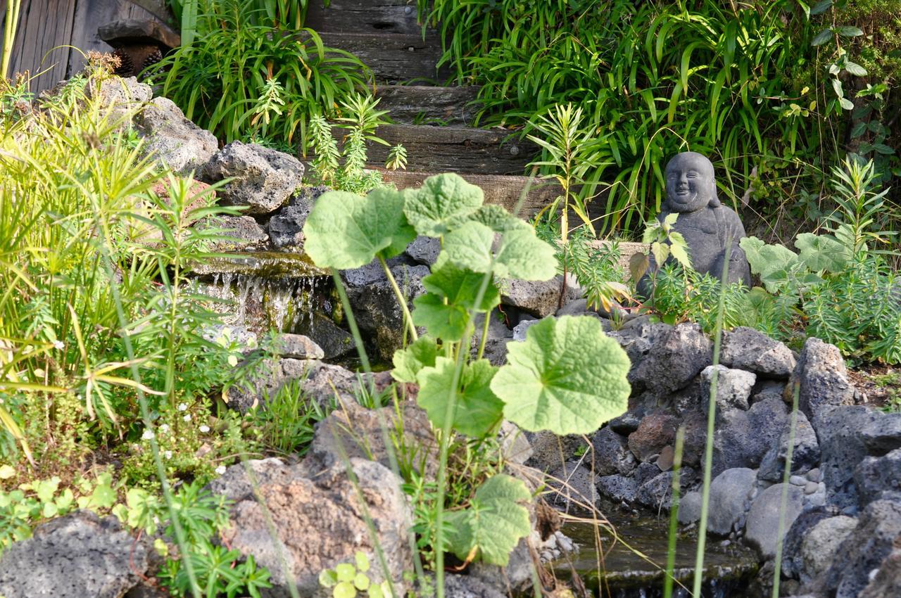 Kawai Purapura Yoga Retreat Centre Hotel Auckland Exterior photo